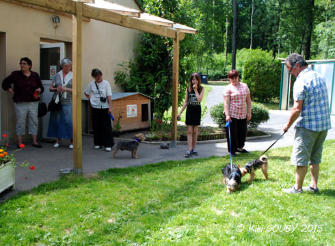 AFD 02 dans l'Aisne AFD 02 dans l'Aisne
