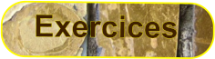 Exercices
